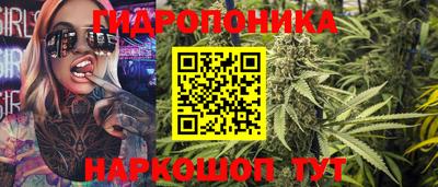 гидропоника Бийск