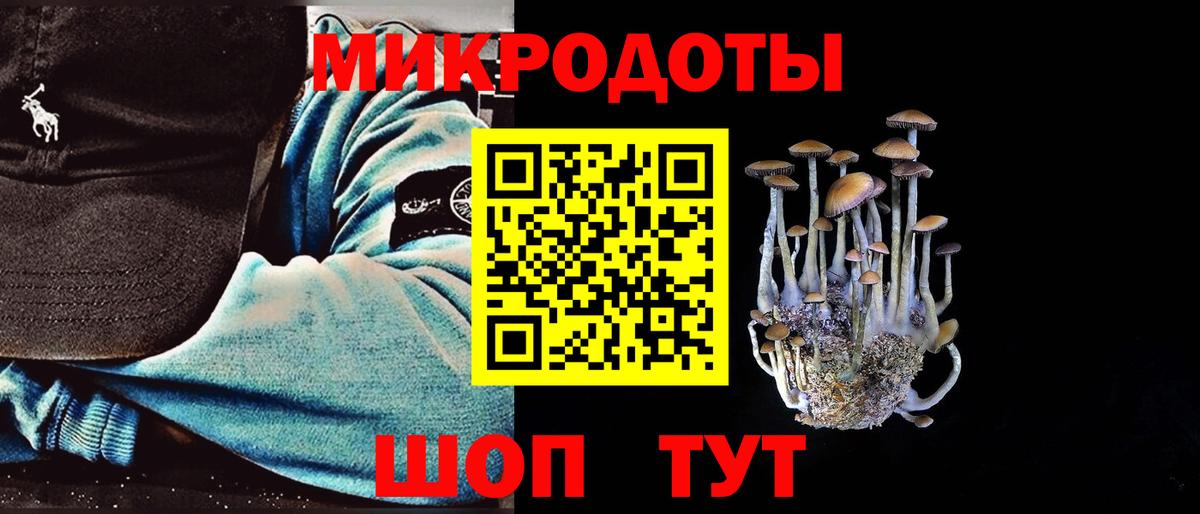 Псилоцибиновые грибы Psilocybe Кольчугино